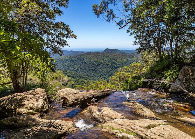 Lamington National Park