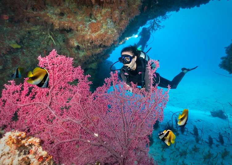 Scuba diver in the Maldives