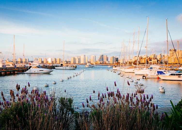 Boats in the harbour at Punta del Este