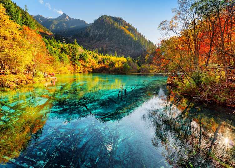 Five-Flower Lake, Jiuzhaigou National Park