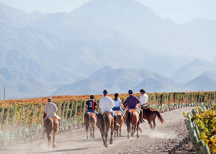 Horseback riding, Casa de Uco