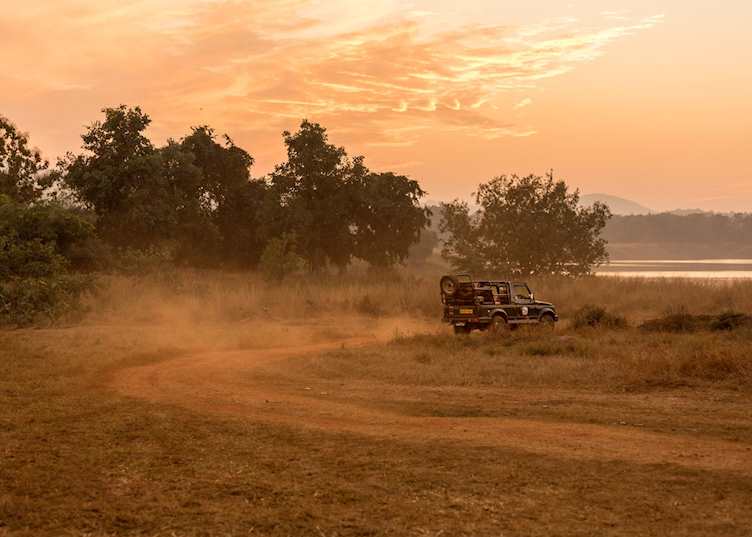 Safaris at Satpura National Park