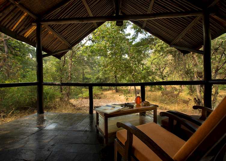 View from the tent at Reni Pani Jungle Lodge