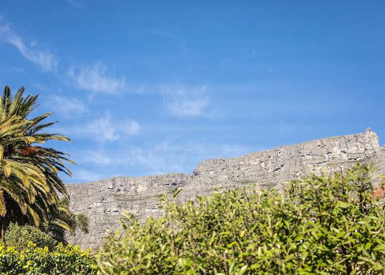 Views from Acorn House, Cape Town