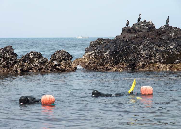 Haenyeo, Eastern Jeju