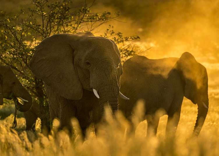 On safari at Camp Kipwe, Damaraland, Namibia