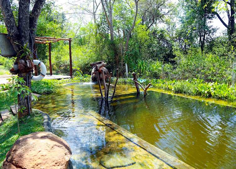 Natural pool at Ibis Wilpattu