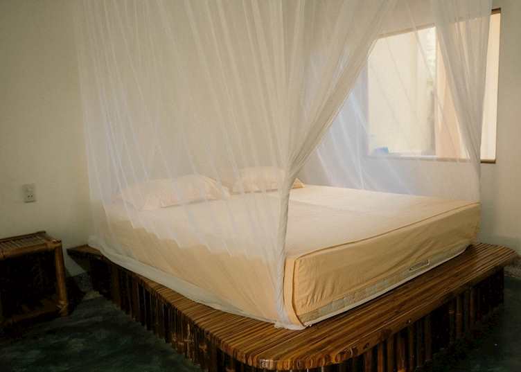 Bukit Lawang Eco Lodge