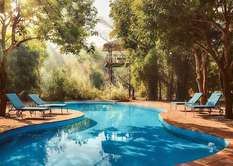 Swimming pool at Jaagir Manor, Dudhwa National Park