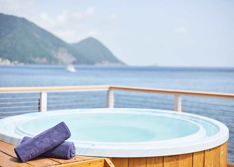 Plunge pool, Fort Young Hotel