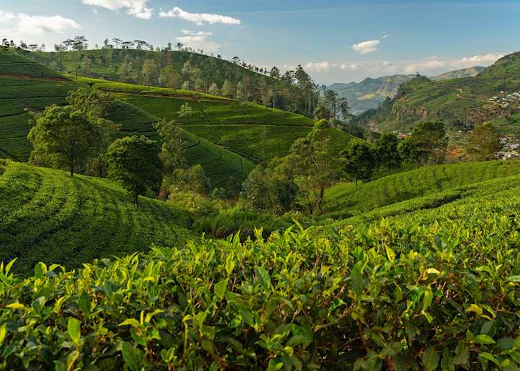 Nuwara Eliya, Sri Lanka