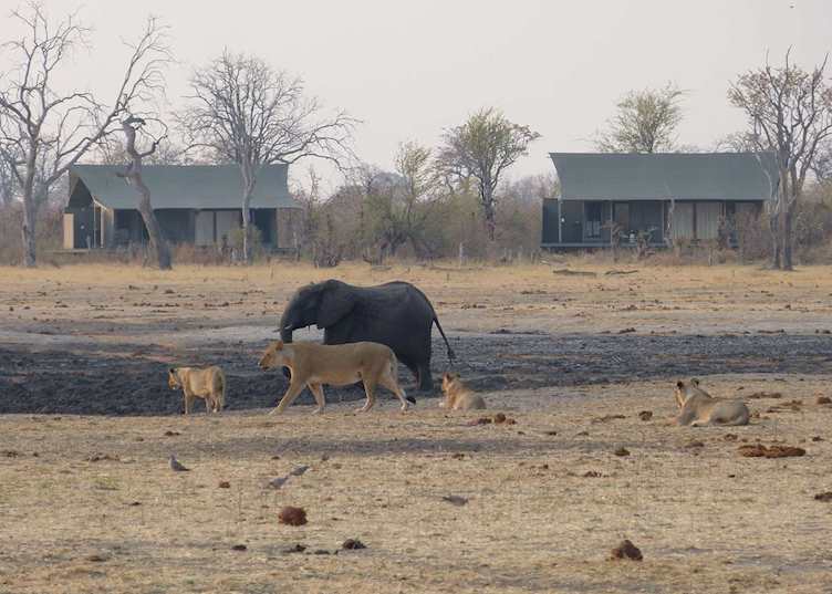 Nogatsaa Pans - Armchair Safari