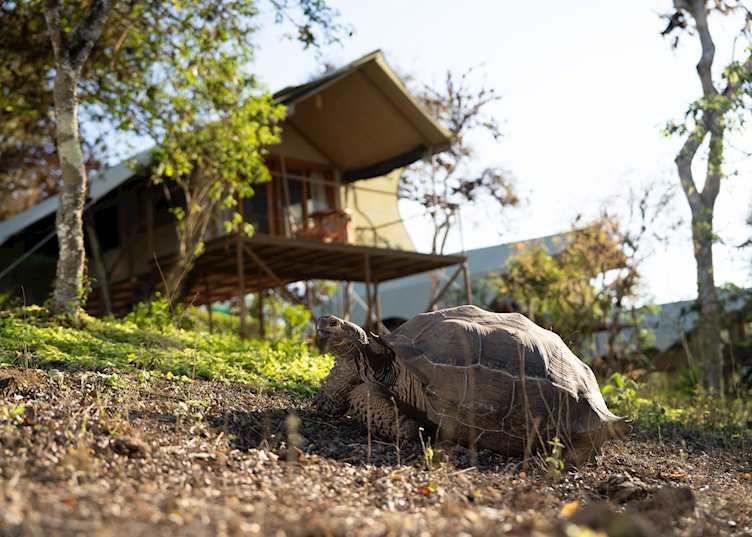 Galapagos Safari Camp introduction, Santa Cruz Island