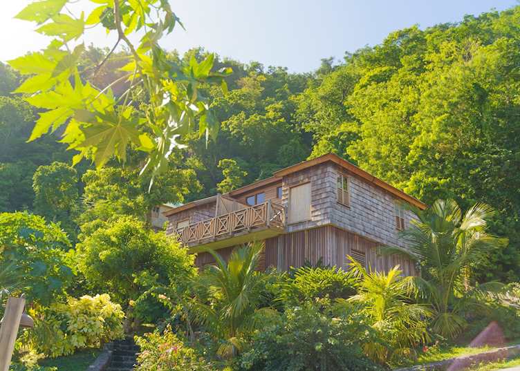 Exterior view, Jungle Bay