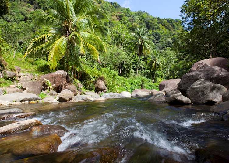Perdu Temps Hike, Jungle Bay