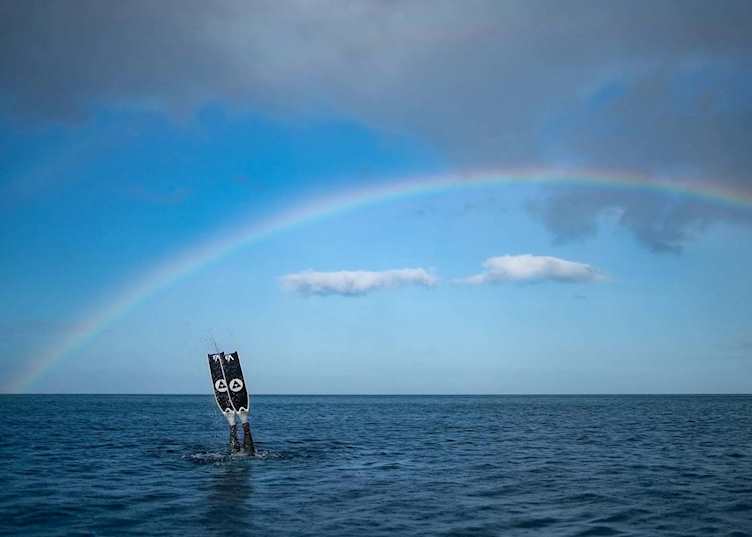 Freediving from Jungle Bay, Dominica