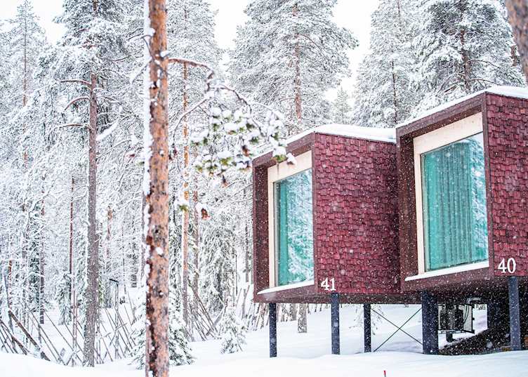 Arctic TreeHouse Suite, Arctic TreeHouse Hotel