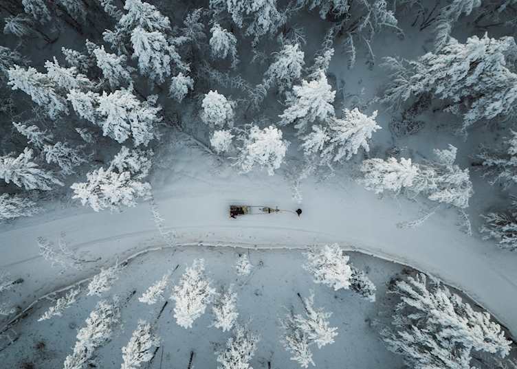 Reindeer safari, Finnish Lapland (credit: Safartica Oy)