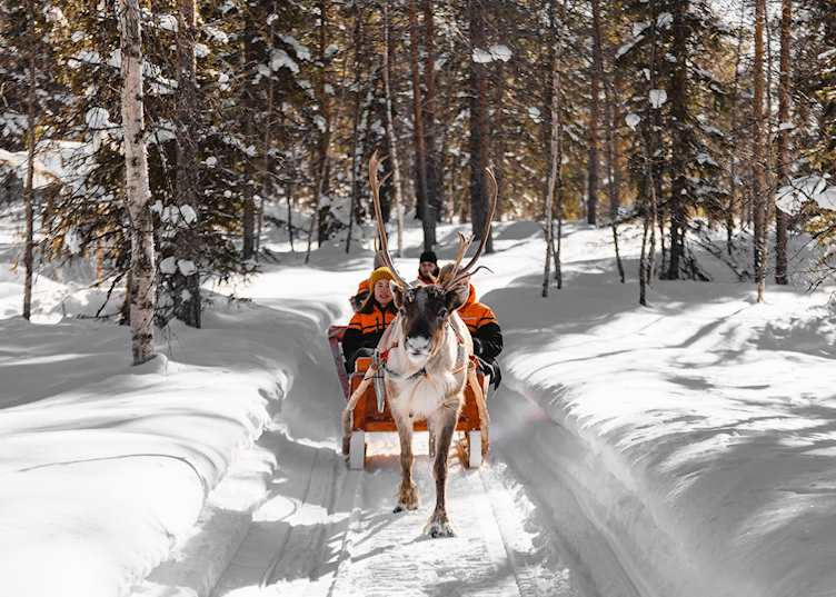 Reindeer safari, Finnish Lapland (credit: Safartica Oy)