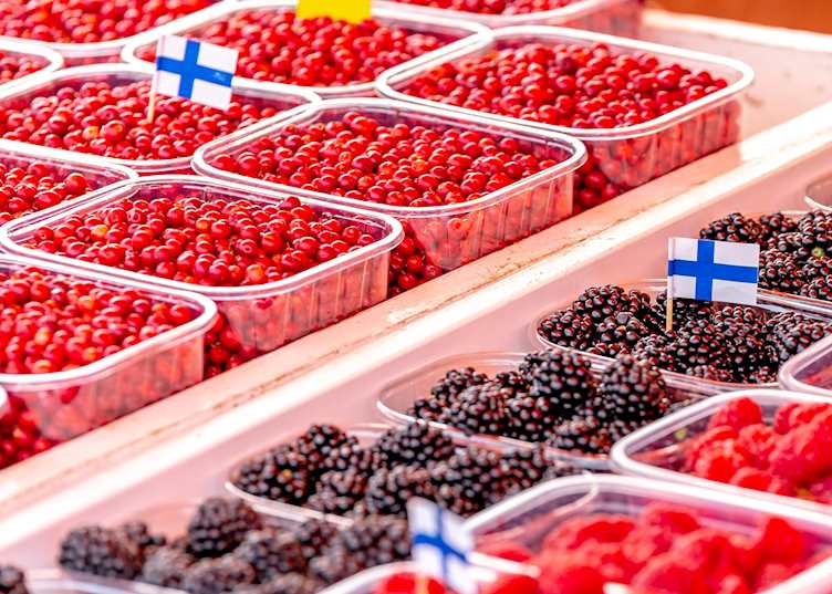 Helsinki foodie walking tour