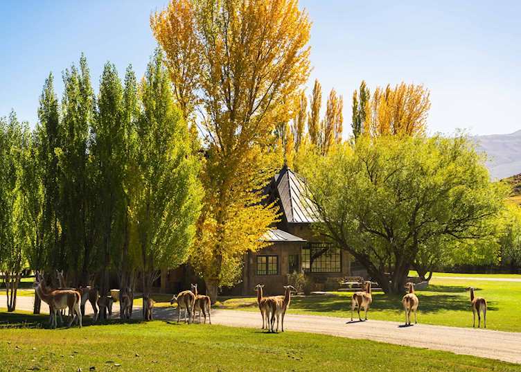 Exterior, Explora Patagonia National Park
