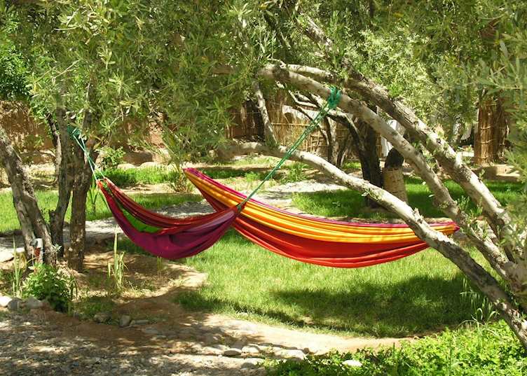 Hammocks in Gardens