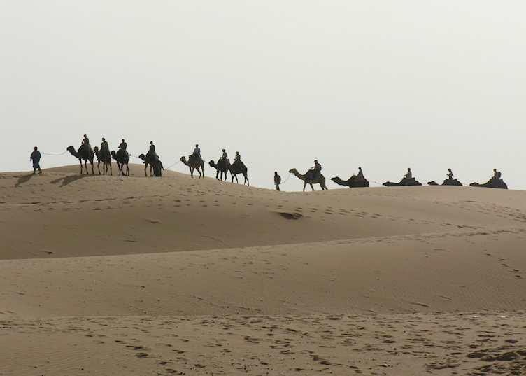 View of camel trek over Erg Chebbi