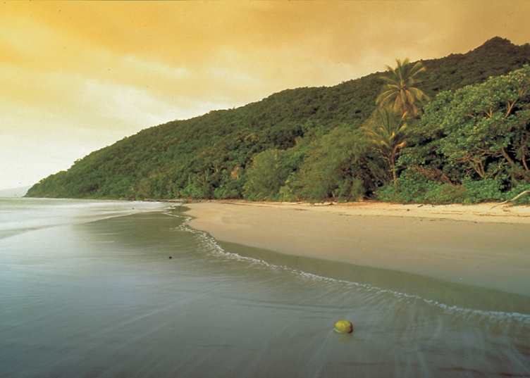 Daintree & Cape Tribulation, Tropical North Queensland
