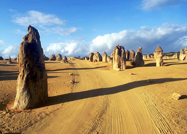 Nambung National Park & Cervantes, Australia