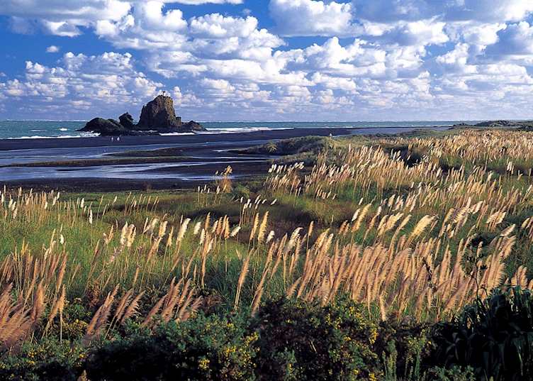 Great Barrier Island, New Zealand
