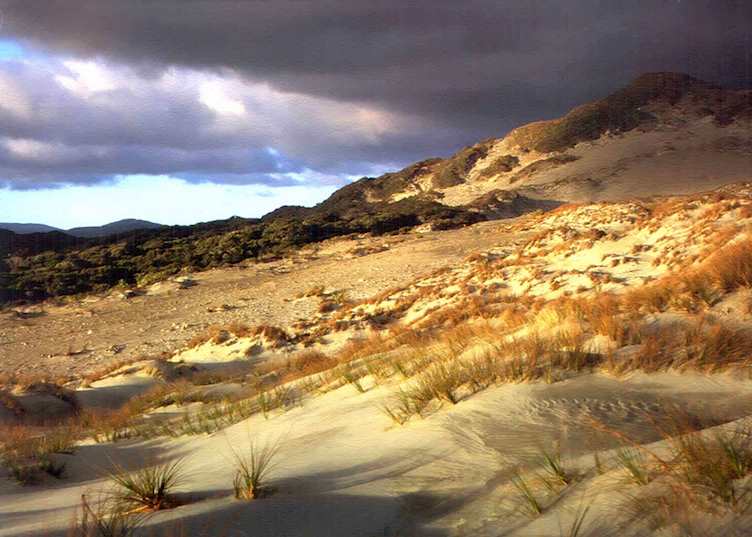 Stewart Island, New Zealand