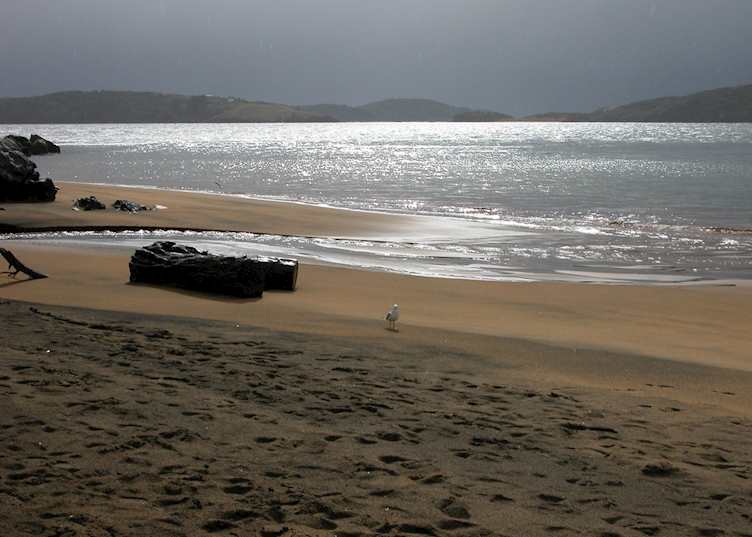 Ulva Island, New Zealand