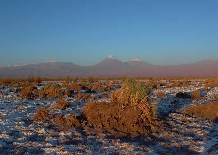 Atacama Desert, Chile