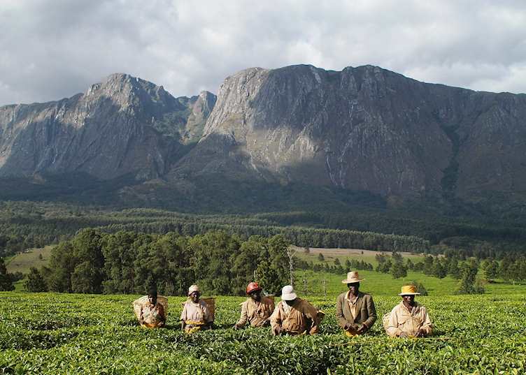 Thyolo Region, Malawi