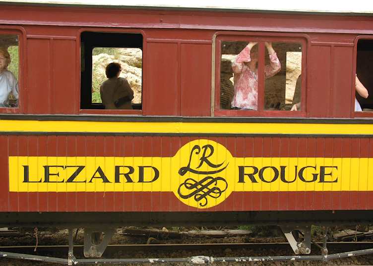 The Red Lizard