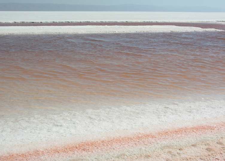 Chott El-Jerid