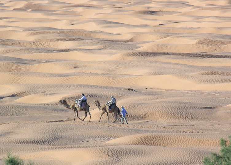 Ksar Ghilane, Tunisia
