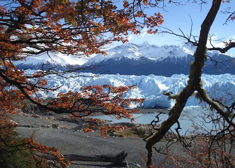 Perito Moreno Glacier
