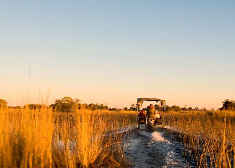 A Boat trip through the Moremi Wildlife Reserve