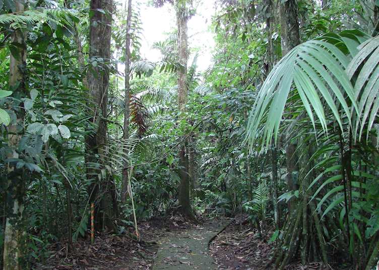 La Selva Biological Station, Puerto Viejo de Sarapiqui