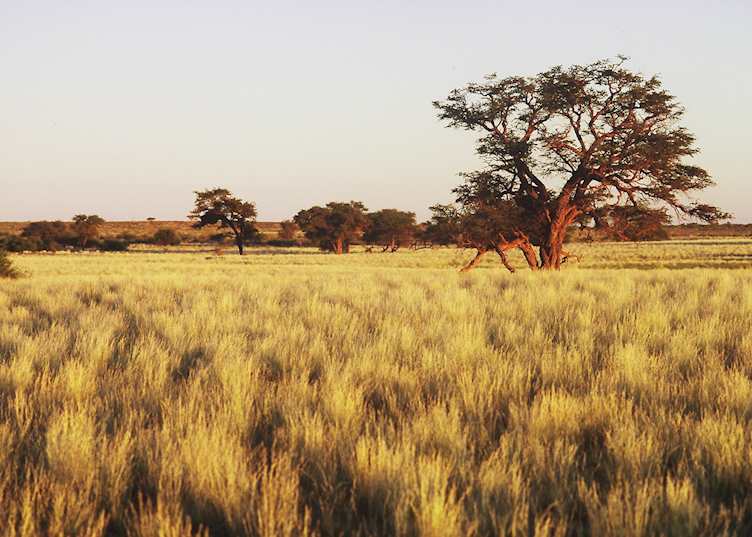 View of the surrounding area from the Kalahari Anib Lodge, Southern Namibia