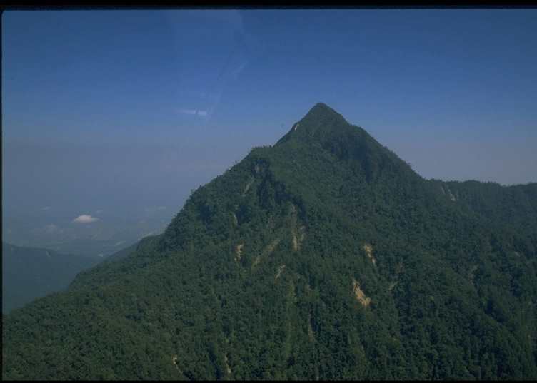 Pico Bonito National Park, Honduras