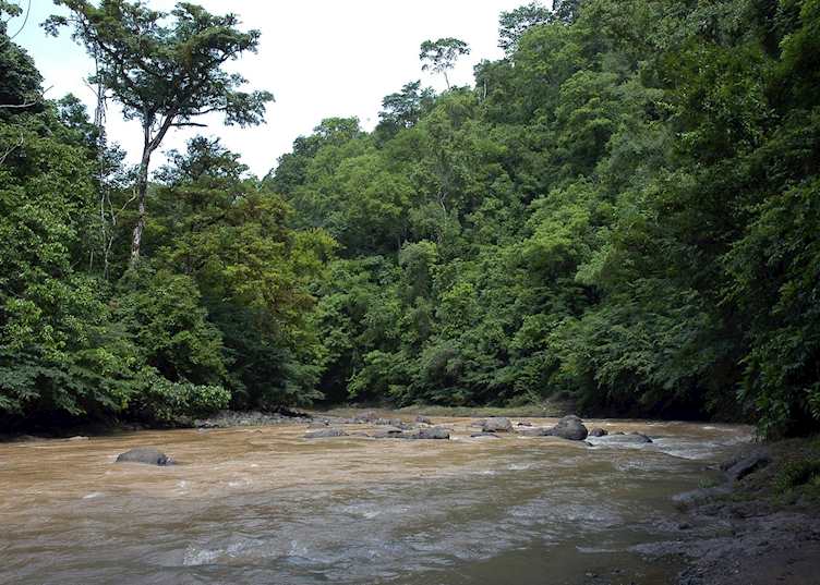 The area surrounding Sarapiqui, Costa Rica