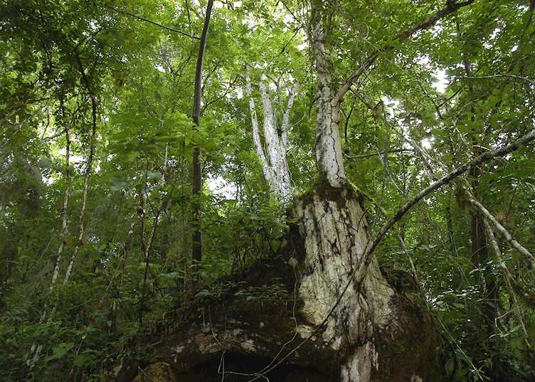 San Ramón, Costa Rica