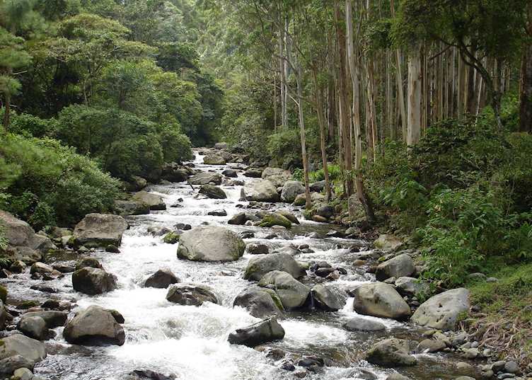 Chagres River, Boquete