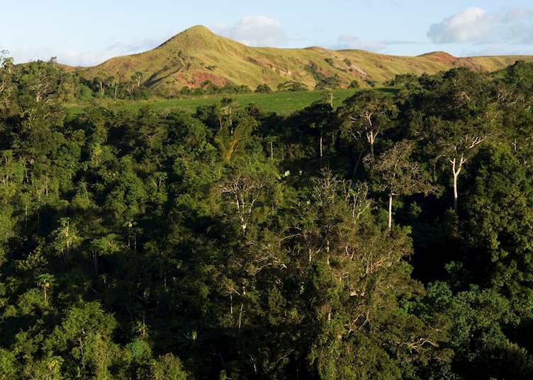 Amber Mountain National Park (Montagne D'Ambre), Madagascar