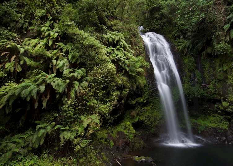 Waterfall, Amber Mountain National Park (Montagne D'Ambre), Madagascar