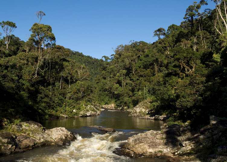Ranomafana National Park, Madagascar