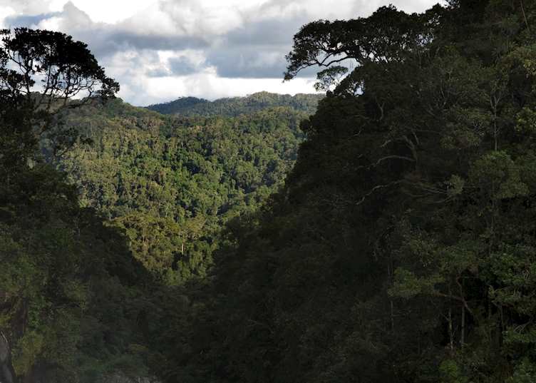 Ranomafana National Park, Madagascar