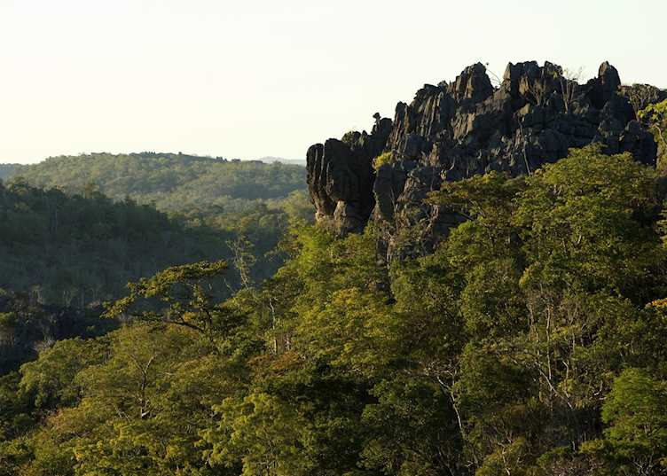 Ankarana Special Reserve